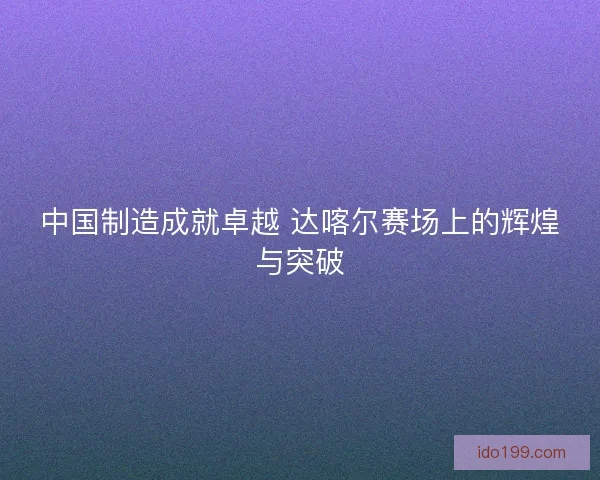 中国制造成就卓越 达喀尔赛场上的辉煌与突破 中国制造成就卓越 达喀尔赛场上的辉煌与突破